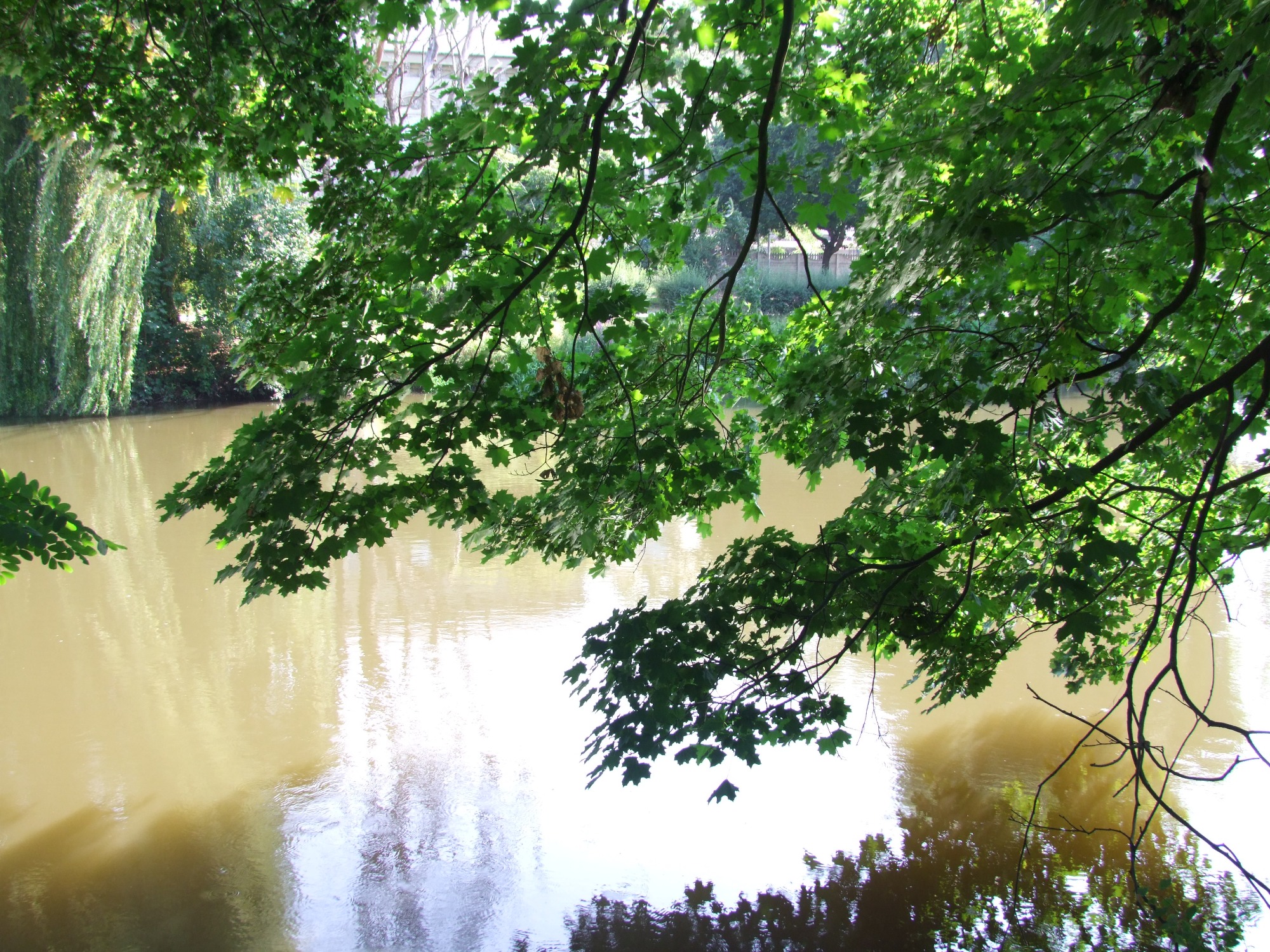 Widok na rzekę z perspektywy zielonych gałęzi drzew, odbicie nieba w wodzie, spokojna sceneria.
