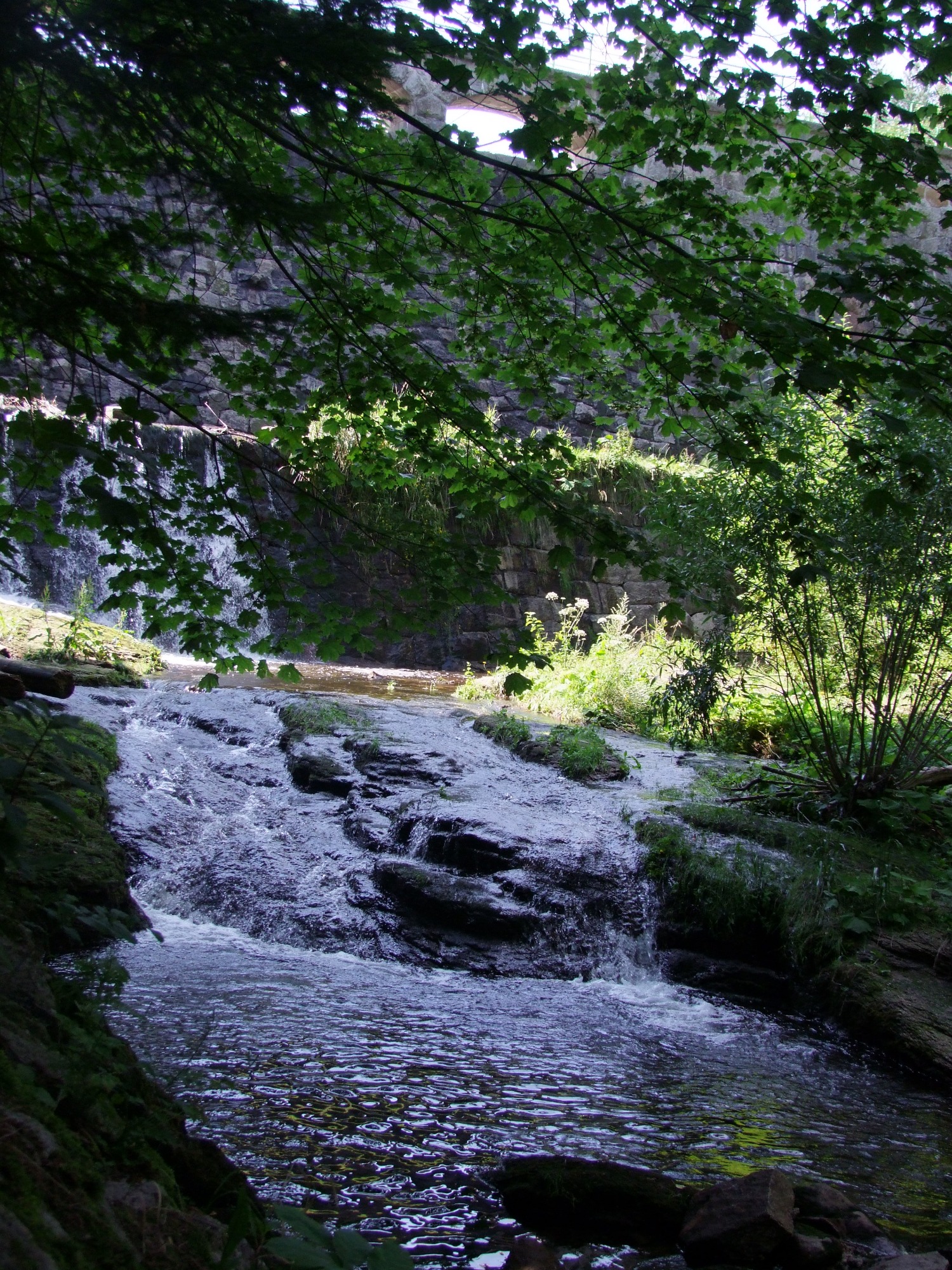 Kamienny wodospad z bujną roślinnością, częściowo przysłonięty gałęziami drzew, z widocznym murem w tle.