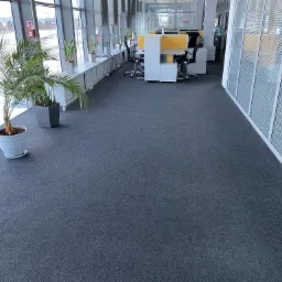 Wnętrze nowoczesnego biura z szarym dywanem, roślinami w donicach przy oknie i stanowiskami pracy w tle.