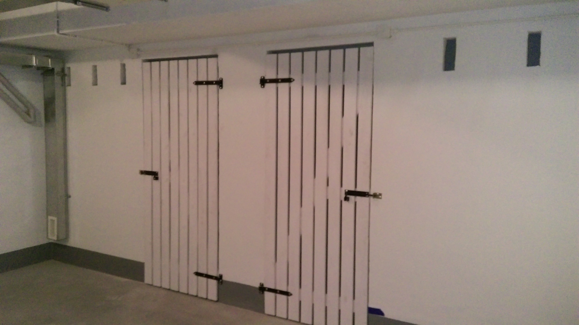 Drzwi piwniczne w budynku wielorodzinnym w Toruniu ul. Trzcinowa