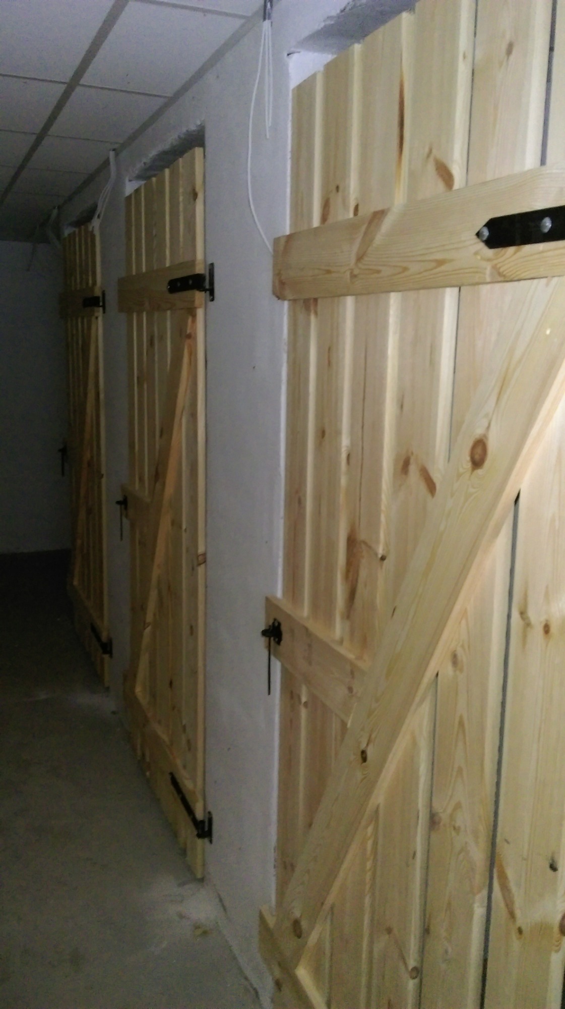 Drzwi piwniczne budynków TTBS w Toruniu ul. Poznańska 294