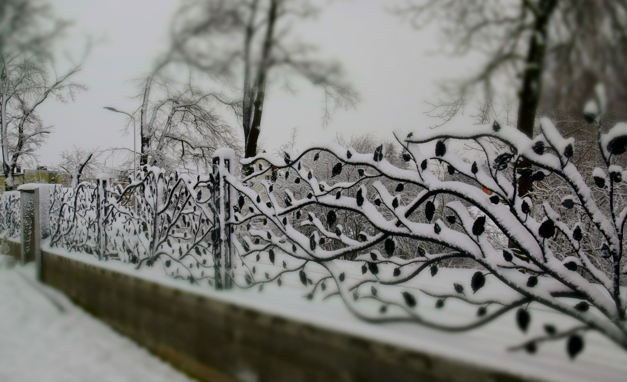 Kuta metalowa balustrada ogrodzeniowa w kształcie gałęzi z liśćmi, pokryta świeżym śniegiem, na tle zimowego krajobrazu z drzewami bez liści i szarą pogodą.