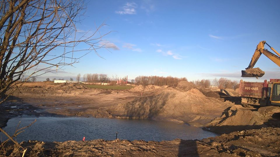 Żółta koparka nabiera ziemię z wykopu częściowo wypełnionego wodą, widoczne pryzmy ziemi, w tle drzewa i budynki, błękitne niebo.