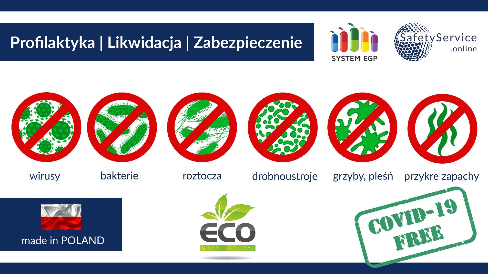 Grafika informacyjna prezentująca profilaktykę, likwidację i zabezpieczenie przed wirusami, bakteriami, roztoczami, drobnoustrojami, grzybami, pleśnią oraz przykrymi zapachami, z logo firmowym...