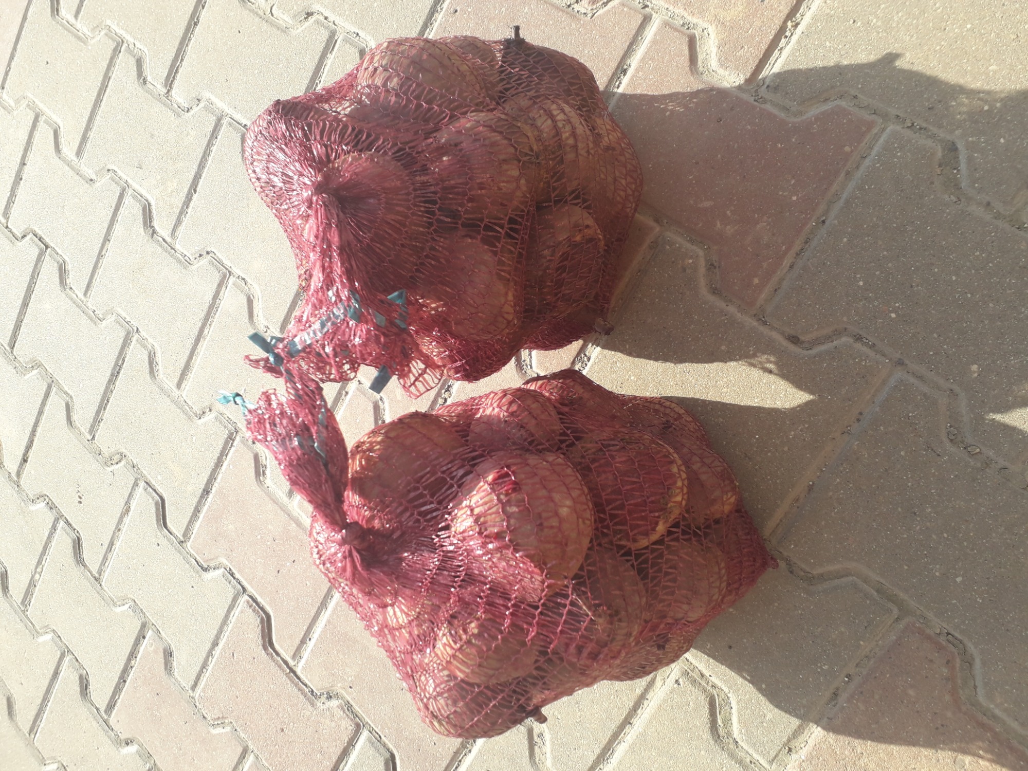 Buraczki cwiklowe- pakowane po 5 kg