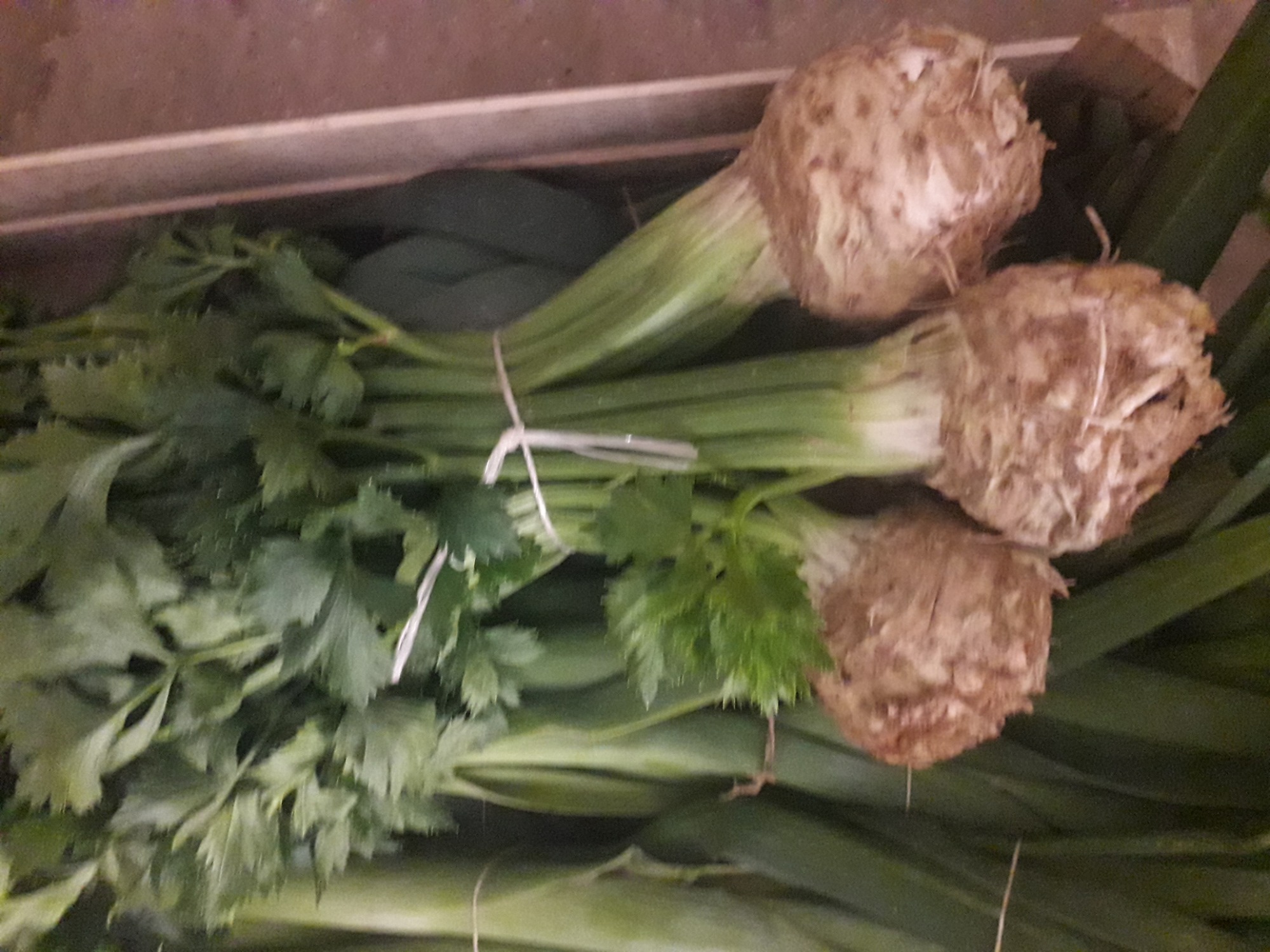 Pęczek selera korzeniowego i porów związany sznurkiem, ułożony w skrzynce.