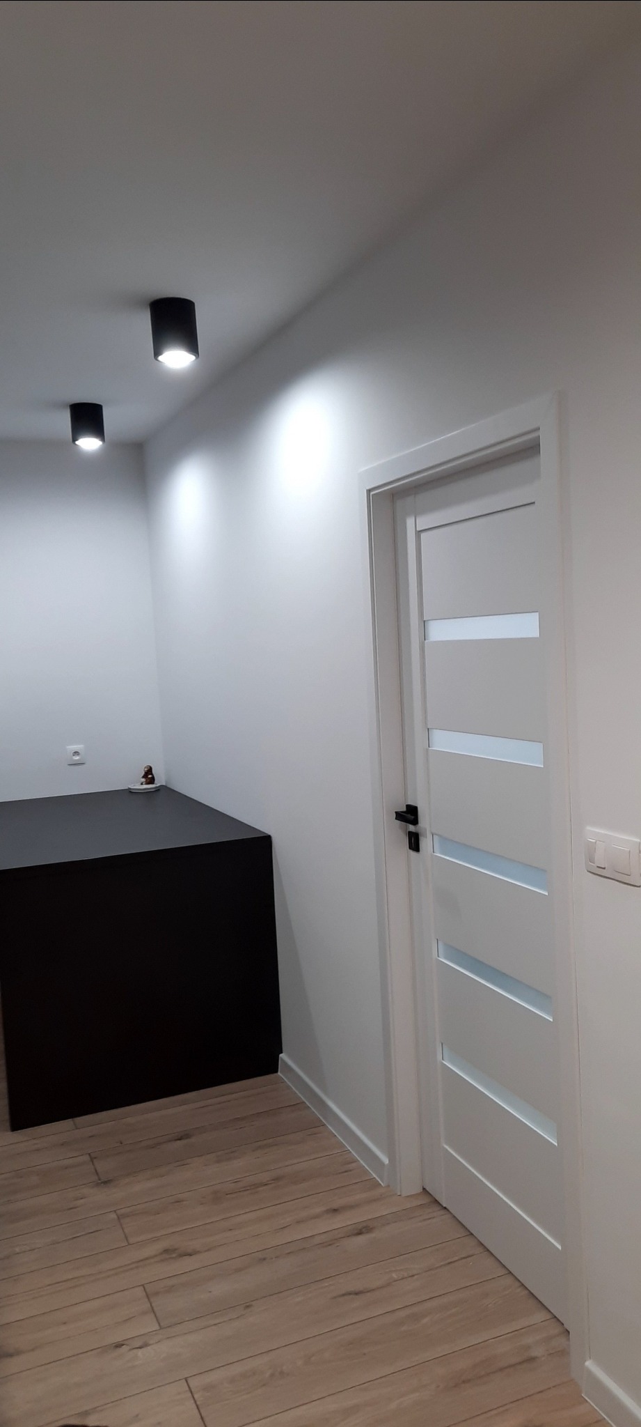 Nowoczesne wnętrze z drewnopodobną podłogą, białymi ścianami, czarnym meblem i białą, przeszkloną stolarką drzwiową z czarną klamką, oświetlone dwoma punktowymi lampami sufitowymi.