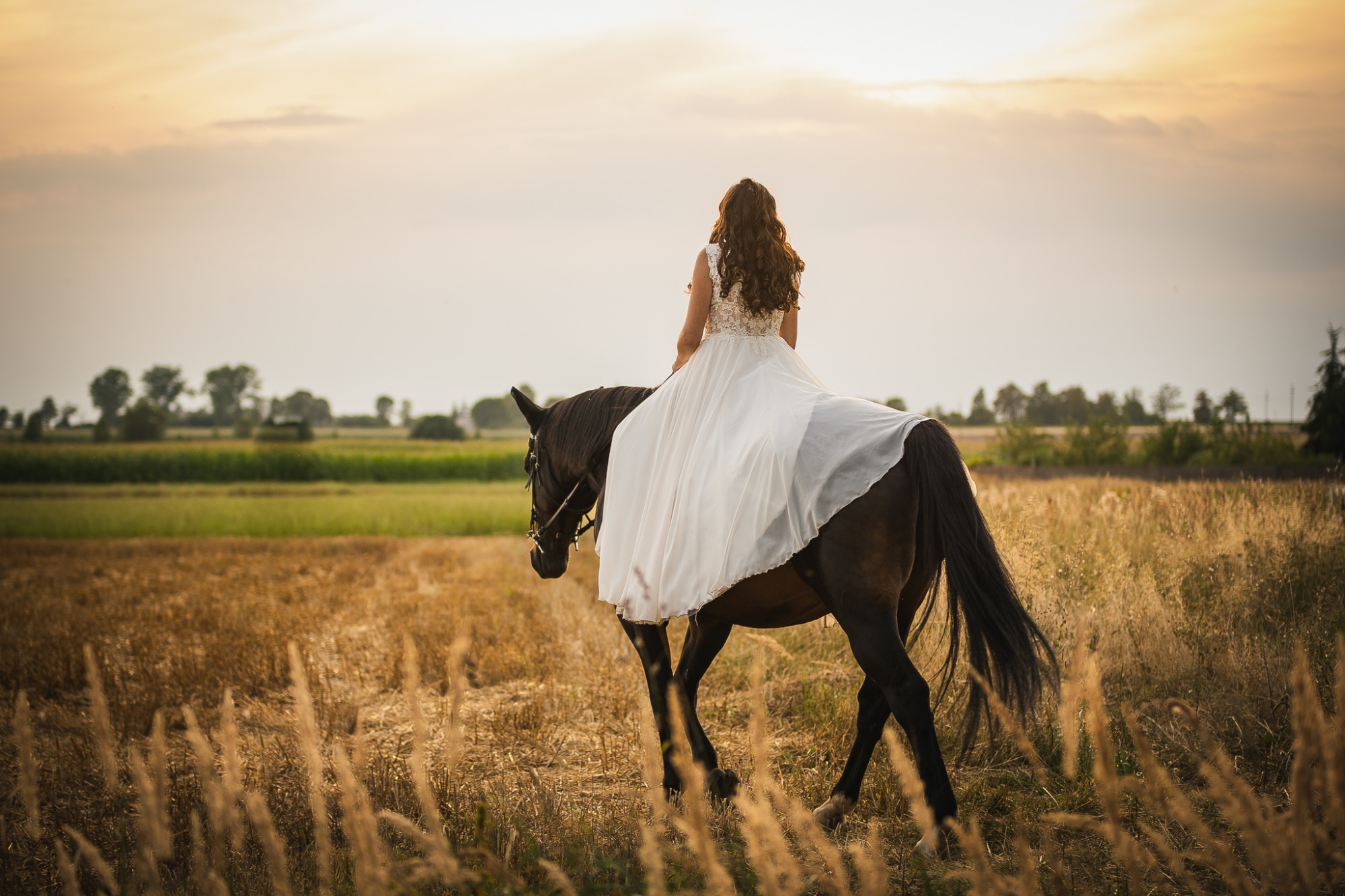 Kobieta w białej sukni ślubnej siedzi tyłem na ciemnym koniu na tle pola i zachodzącego słońca.