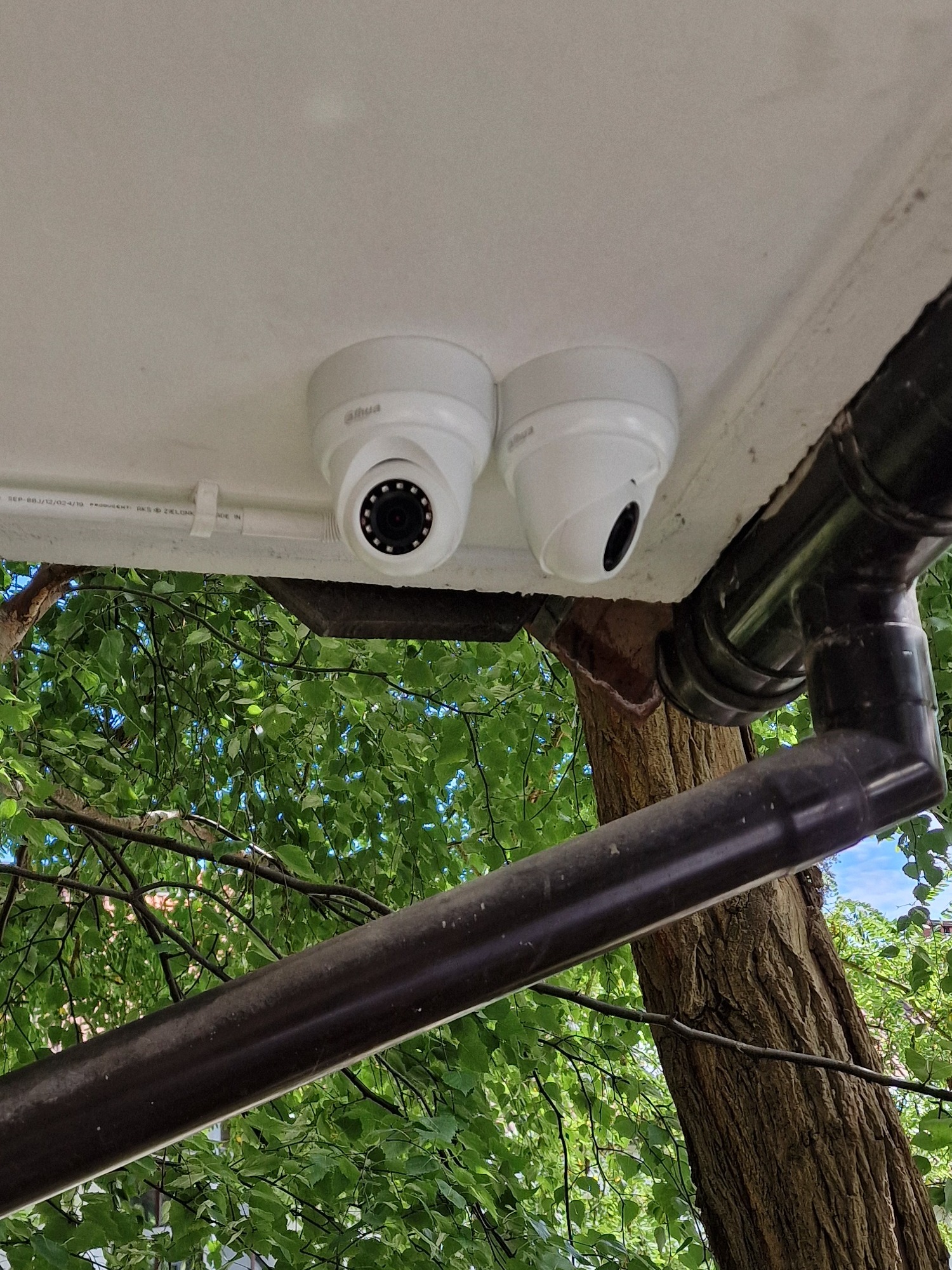 Dwie białe kamery kopułkowe marki Dahua zamontowane pod białym okapem, widok z dołu na tle zielonych liści drzew i brązowej rury spustowej.