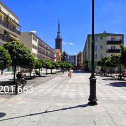 Taxi Nysa Grzegorz - Ulica w Nysie z widokiem na wieżę, drzewa kuliste i osoby siedzące na ławkach w słoneczny dzień. Na pierwszym planie widoczny numer telefonu.