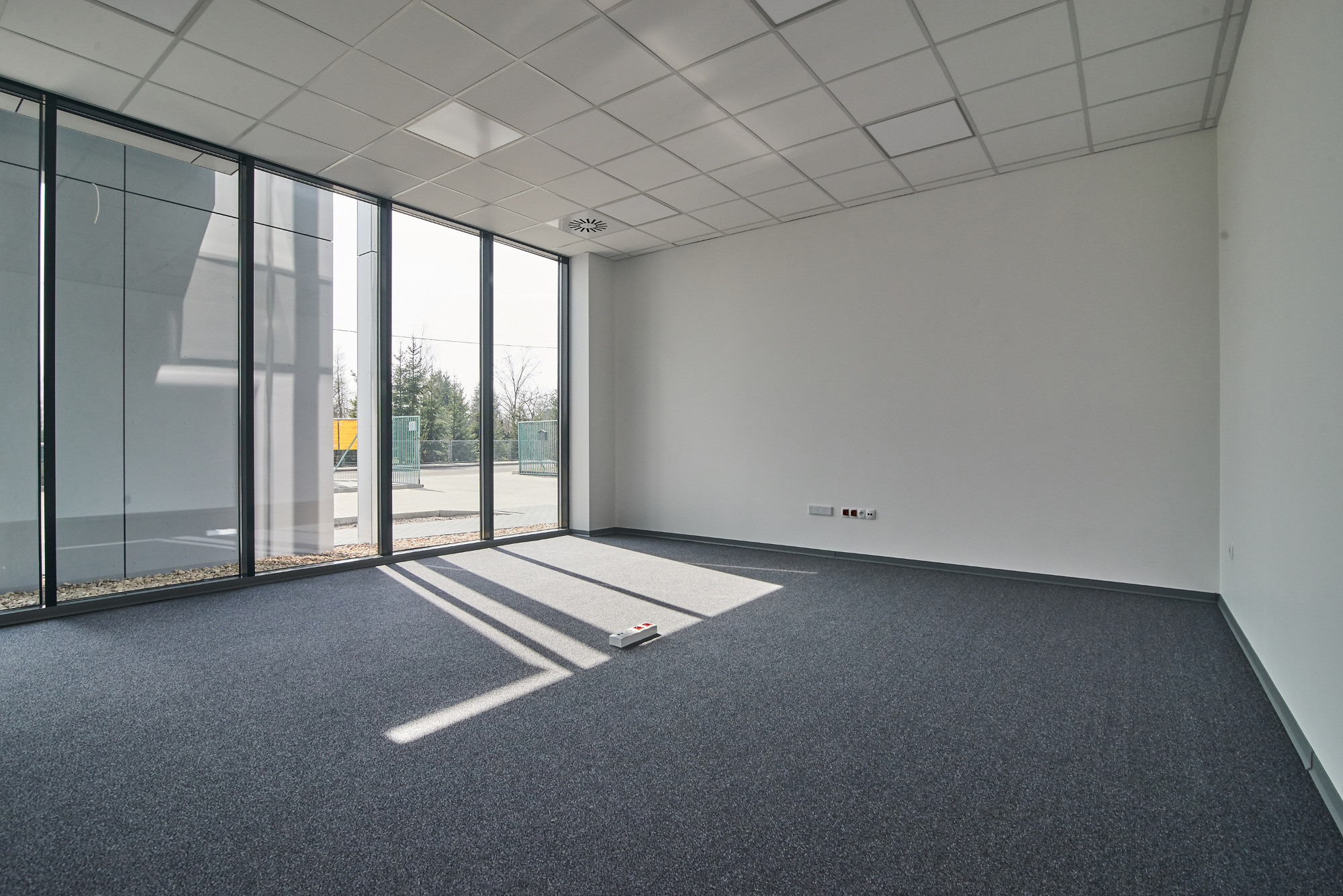 Puste biuro z szarą wykładziną i dużymi oknami, widok na drzewa na zewnątrz, listwa przypodłogowa i gniazdka elektryczne wzdłuż ściany, widoczne promienie słońca na podłodze.