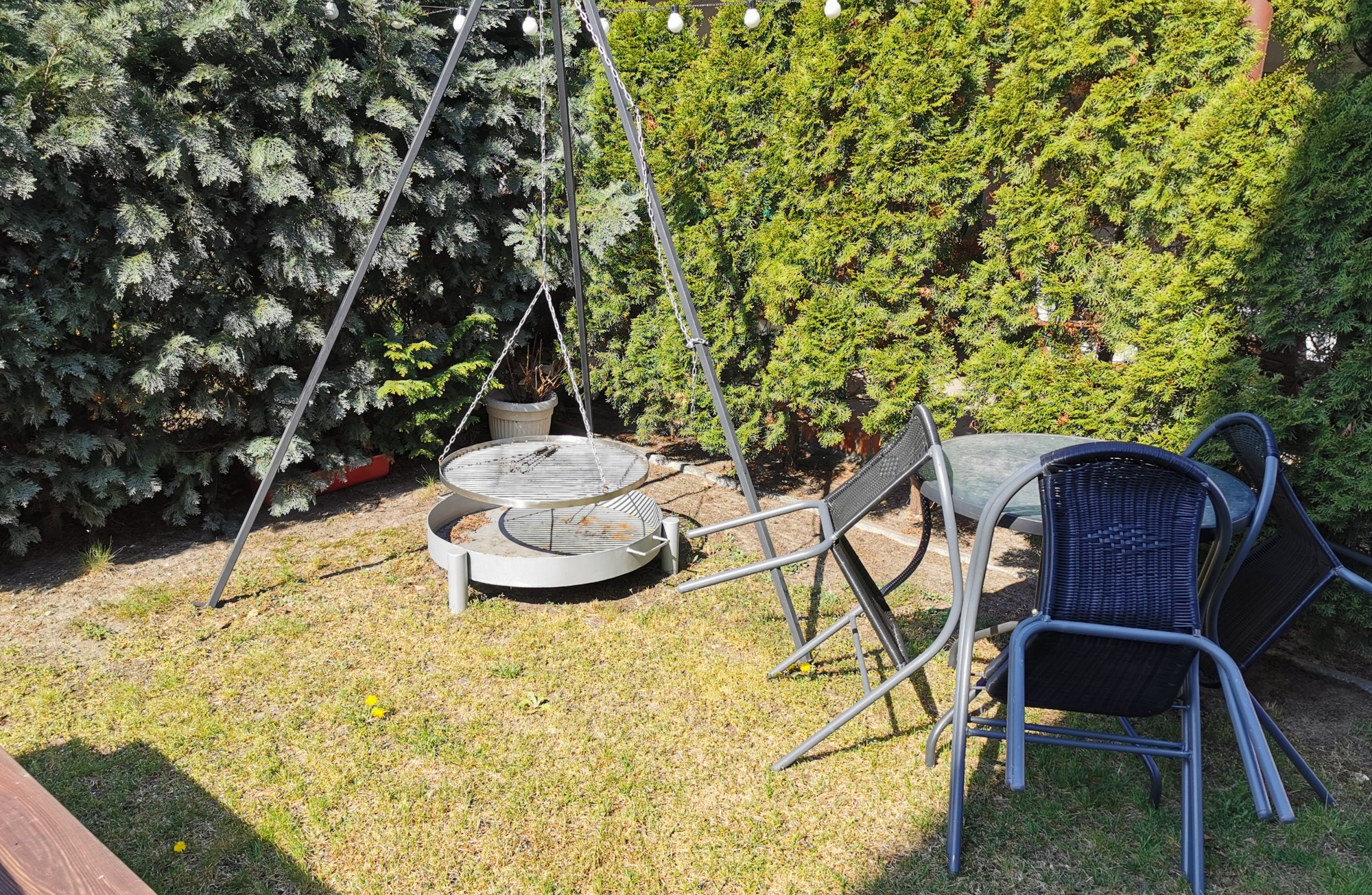 Ogród z miejscem do grillowania: metalowy grill na trójnogu z okrągłym rusztem, stolik i krzesła ogrodowe na trawniku, w tle zielone tuje.