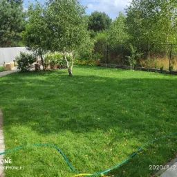 Widok na wypielęgnowany trawnik z młodymi drzewami brzozy, krzewami i rabatami kwiatowymi w tle, ścieżka z kamienia prowadzi wzdłuż trawnika, a zielony wąż ogrodowy leży na trawie.