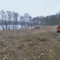 DRZEWUS Sebastian Majewski - Mulczowanie działki nad jeziorem z krzaków, samosiejek