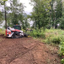 Mulczowanie terenu nad jeziorem, z zbędnej roślinności.