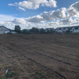 DRZEWUS Sebastian Majewski - Mulczowanie terenu z samosiejek