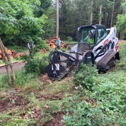 DRZEWUS Sebastian Majewski - Frezowanie pni