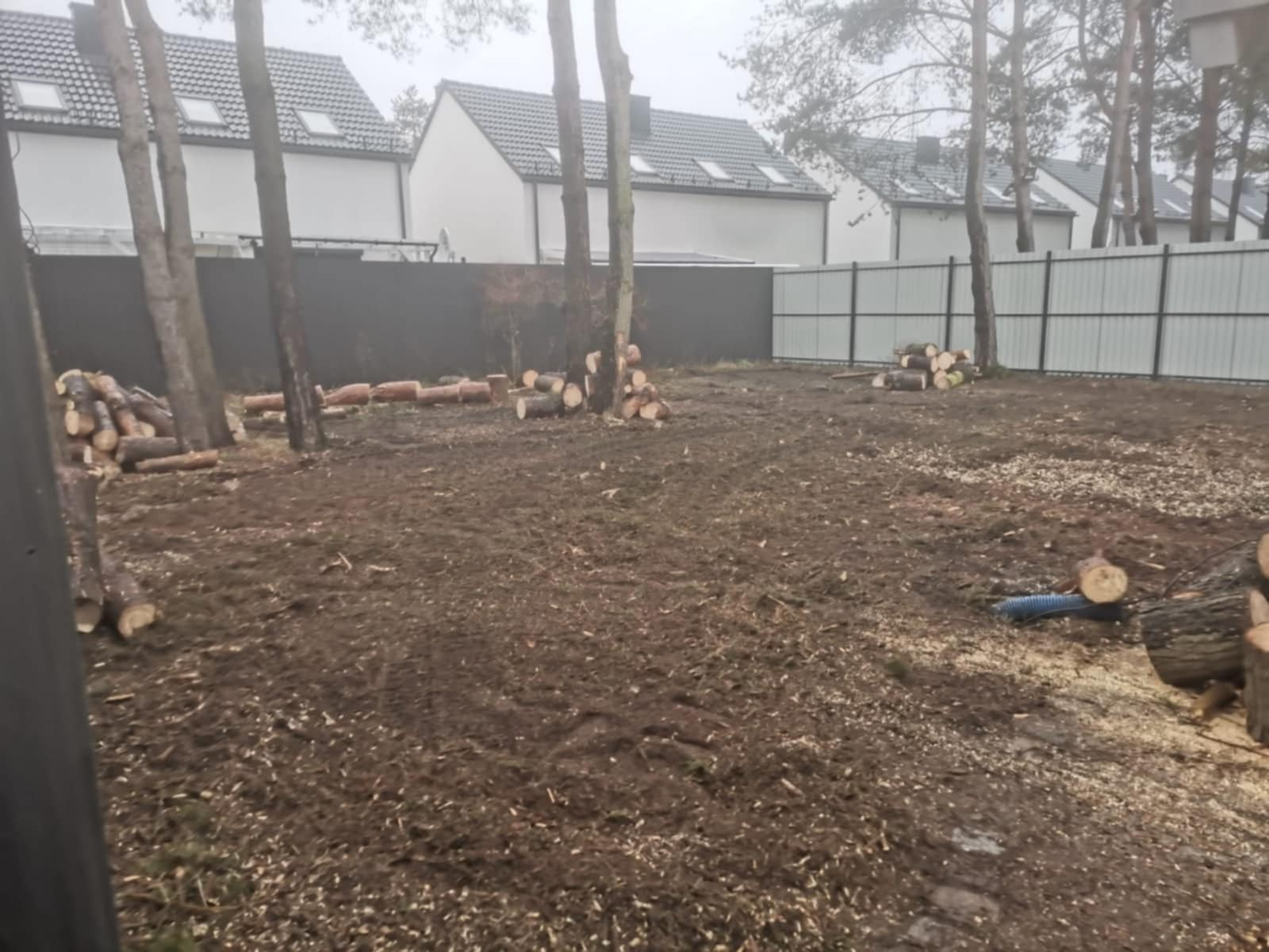 Wycinka drzewa duże, mulczowanie, mulczer leśny