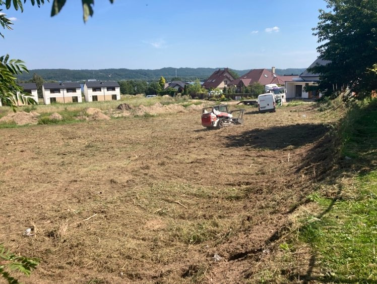 Mulczowanie terenu dla dewelopera z samosiejek, krzaków, roślinośći