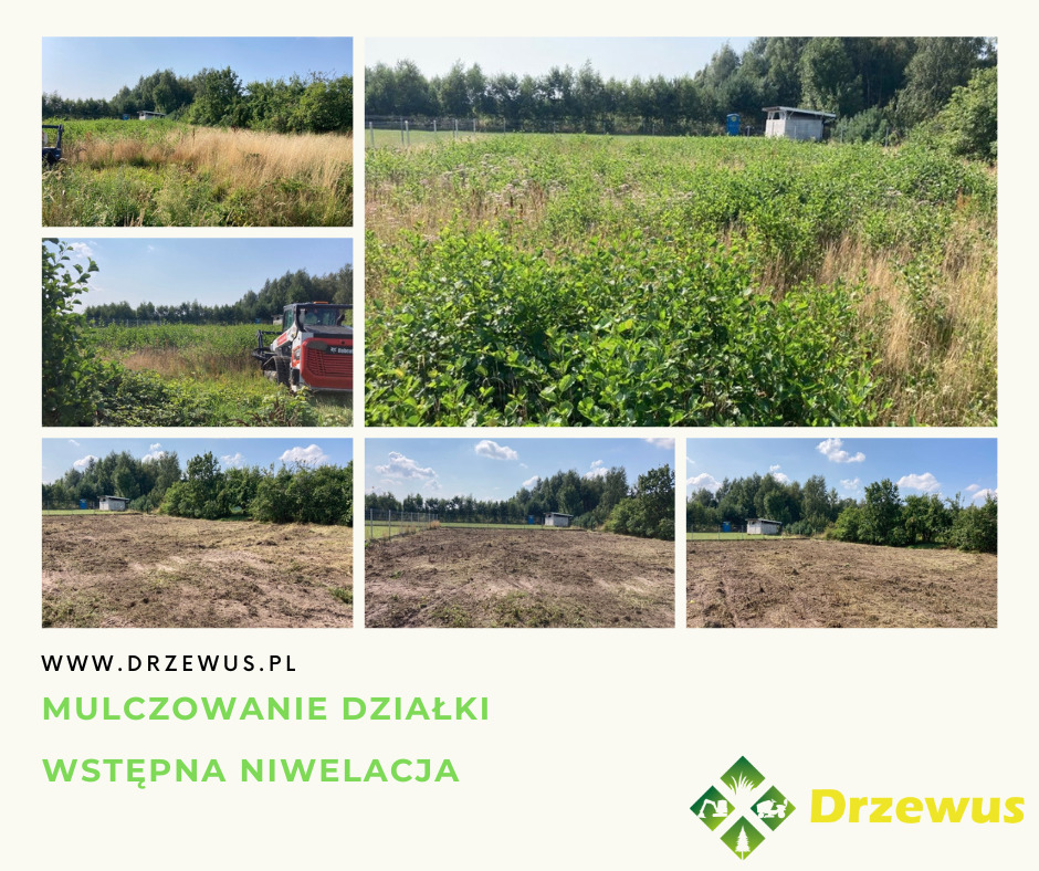 Przygotowanie działki pod budowę-oczyszczanie z zbędnej roślinności, krzaków.