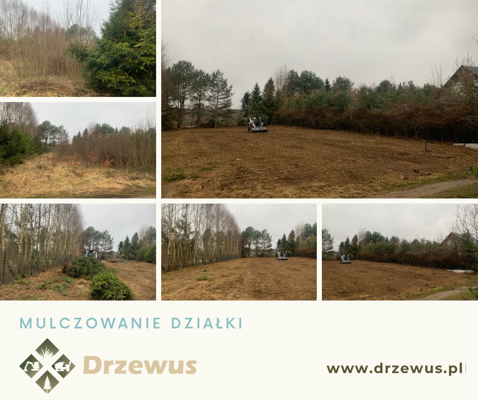 Mulczer leśny- oczyszczanie terenu z choinek, samosiejek.