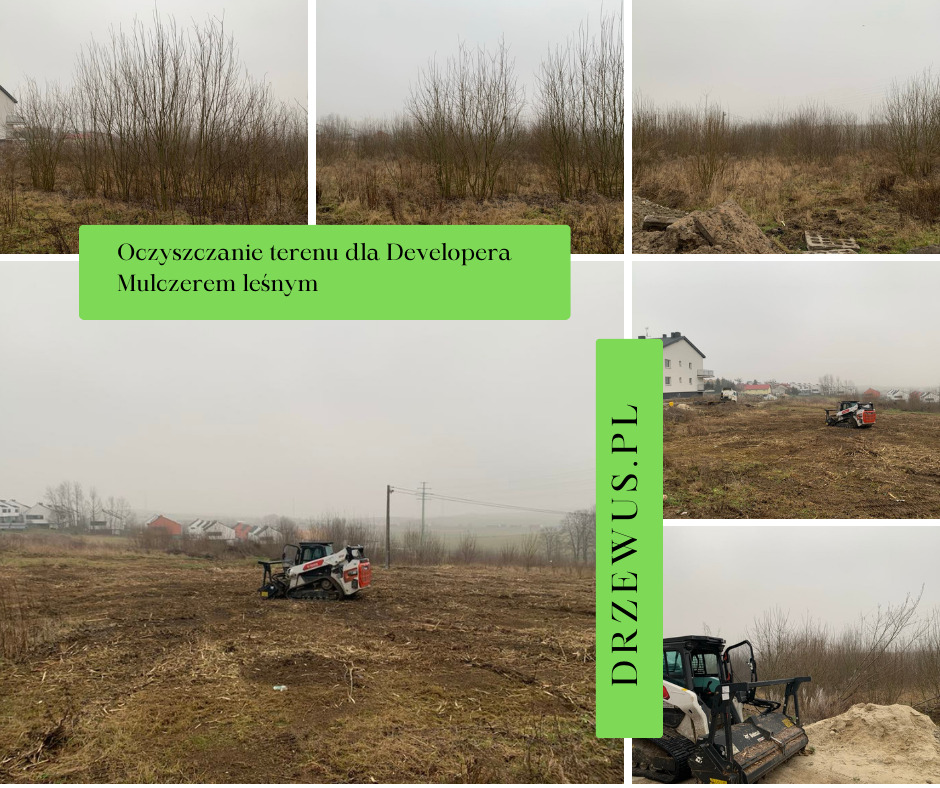 Oczyszczanie działki dla developera z samosiejek.