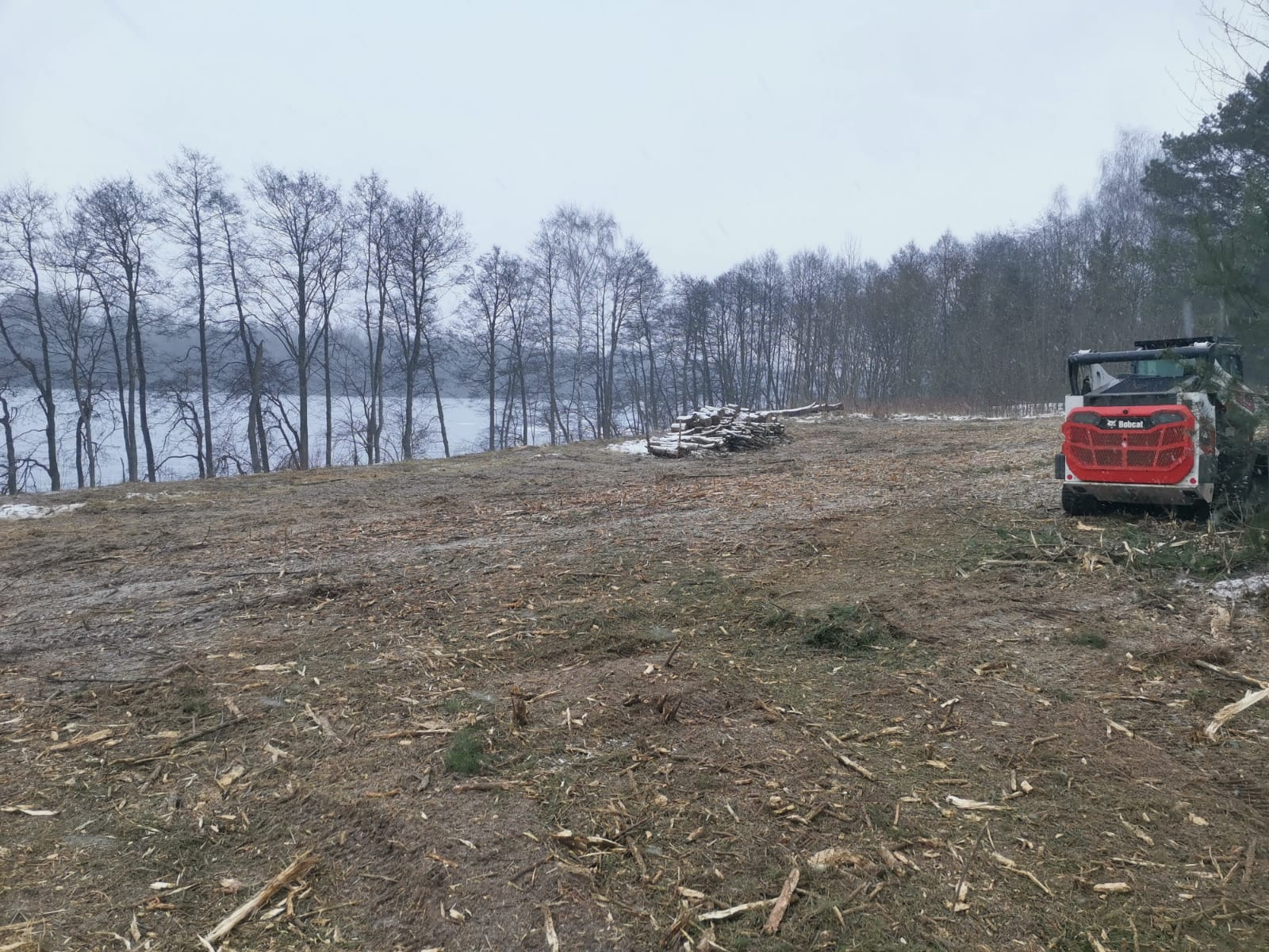 Mulczowanie działki nad jeziorem z krzaków, samosiejek