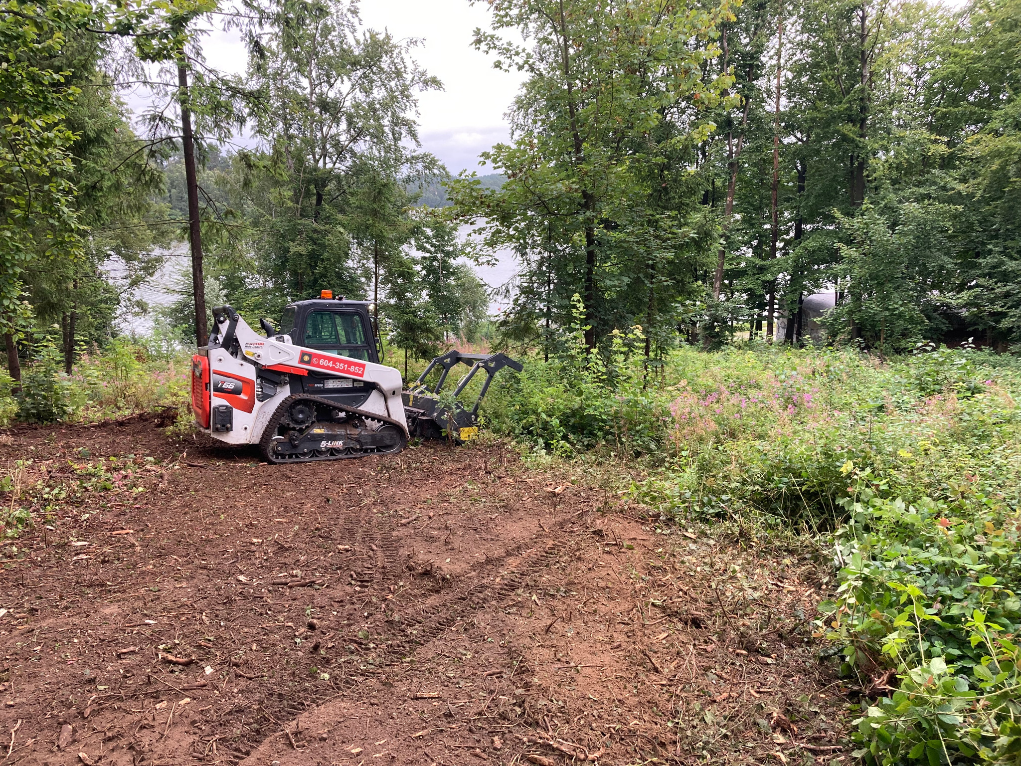 Mulczowanie terenu nad jeziorem, z zbędnej roślinności.