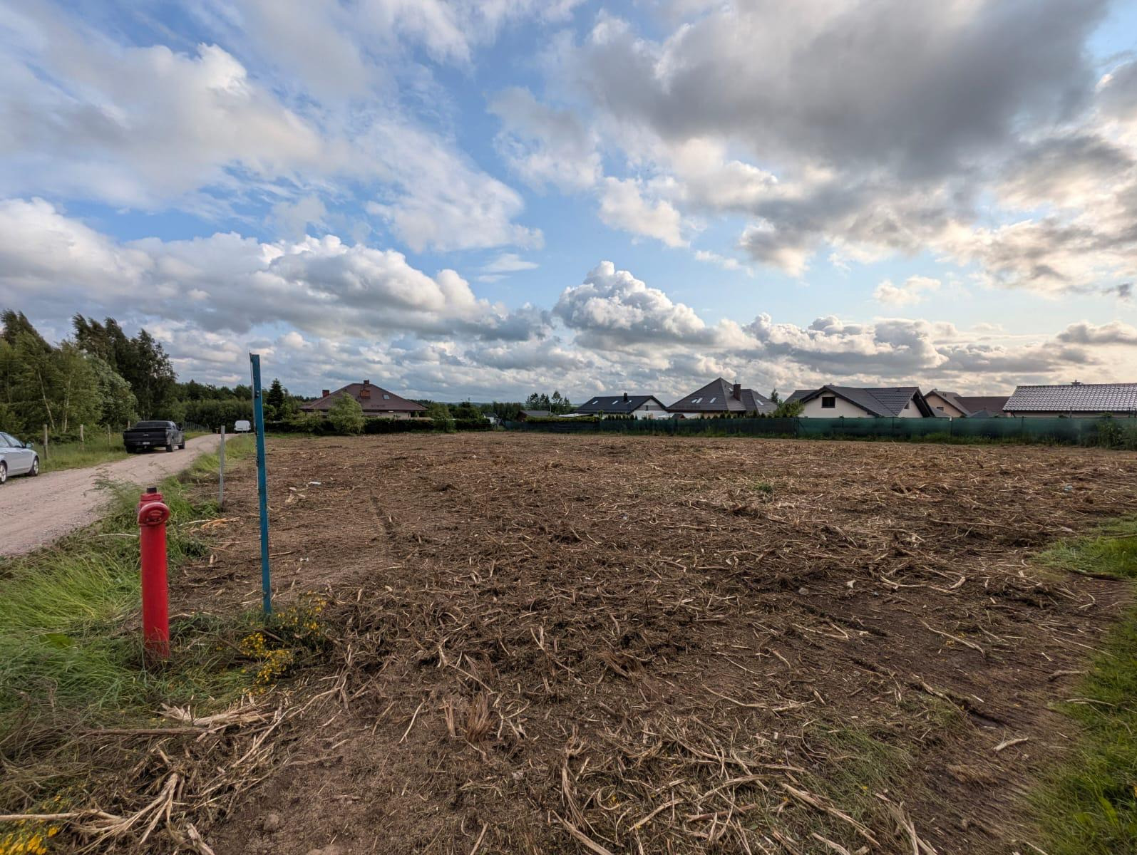 przygotowanie działki pod budowę z samosiejek, krzaków.