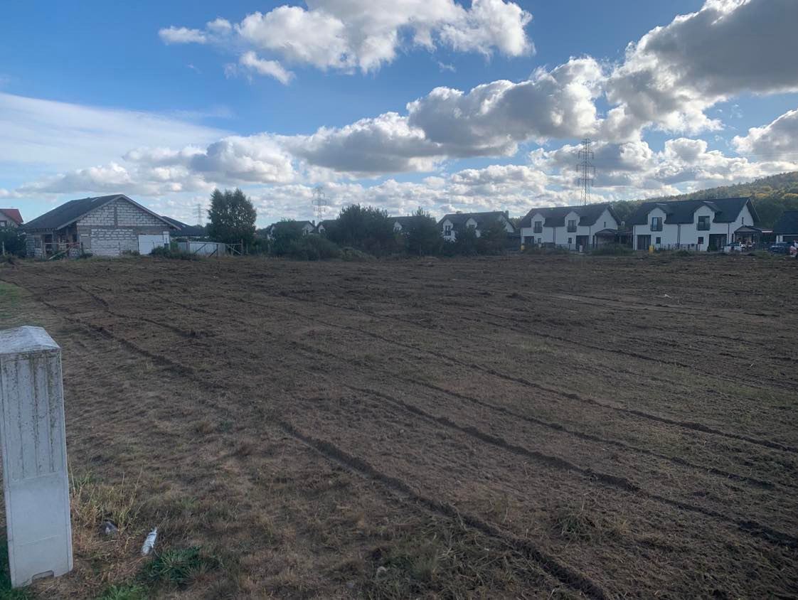 Mulczowanie terenu z samosiejek