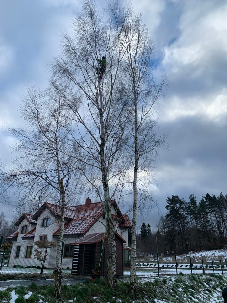 Wycinka alpinistyczna