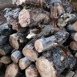 Drewno kominkowe Starogard Gdański 2