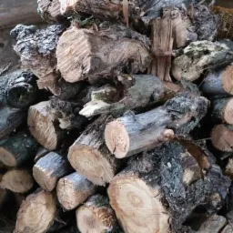 Stos pociętego drewna z widoczną korą i słojami, ułożony w pomieszczeniu gospodarczym, z fragmentem siatki w tle.