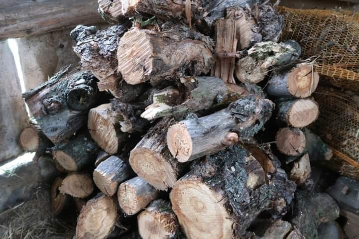 Stos pociętego drewna z widoczną korą i słojami, ułożony w pomieszczeniu gospodarczym, z fragmentem siatki w tle.