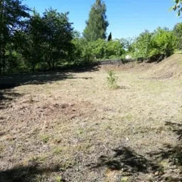 Przygotowany teren pod trawnik, widoczne pozostałości po usuniętej darni i niewielkie drzewko pośrodku, otoczone zielenią drzew i krzewów.