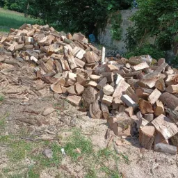 Stos pociętego dębowego drewna kominkowego ułożony na ziemi z trawą i trocinami przed kamiennym murem porośniętym zielenią.