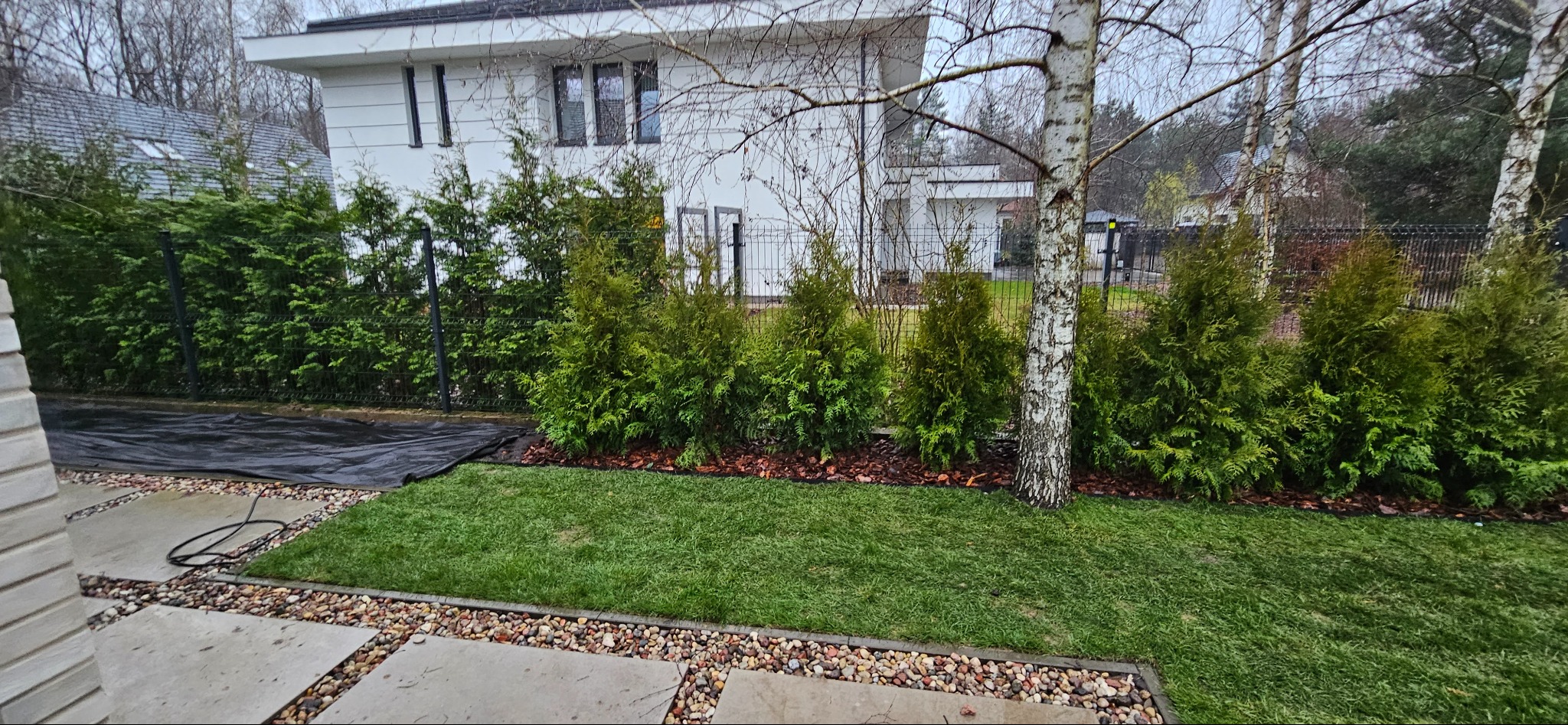 Nowo założony trawnik z obrzeżem z kamyków, tuje posadzone wzdłuż ogrodzenia panelowego. W tle biały dom z szarym dachem i zielony żywopłot.