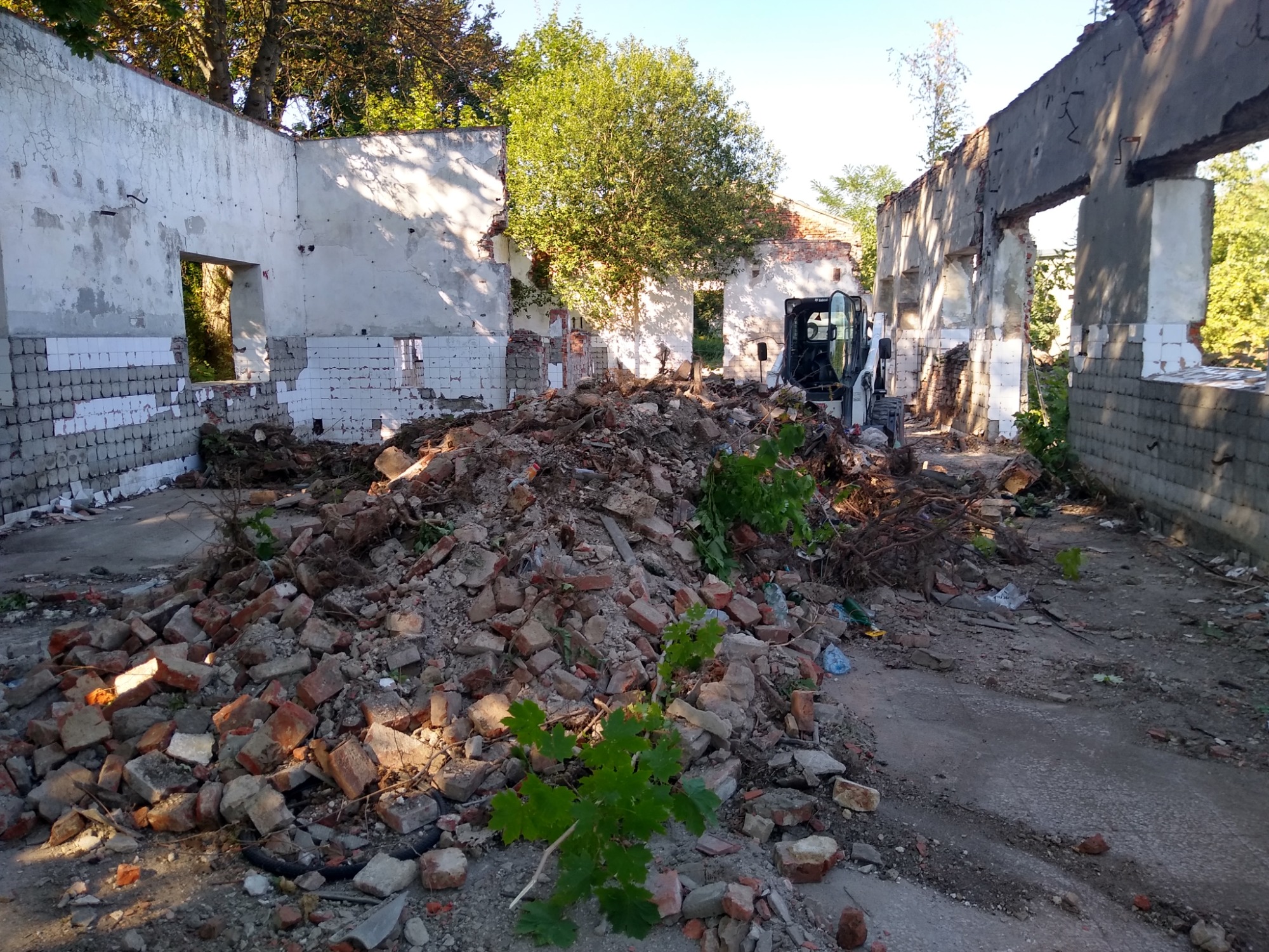 Sterta gruzu ceglanego z zielonymi pędami roślin przed częściowo zburzonym budynkiem z widocznym bobcatem w tle.