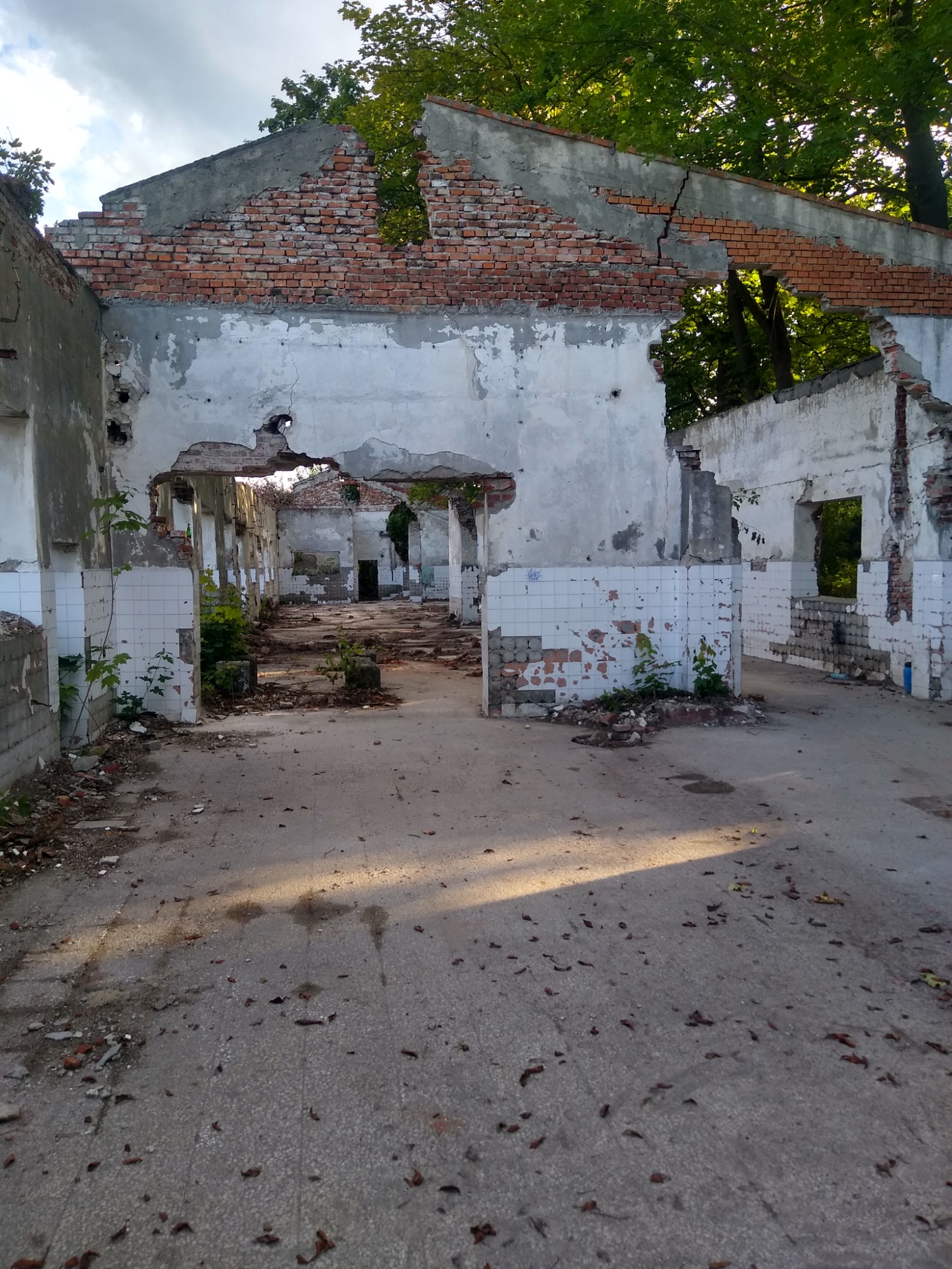 Wnętrze zrujnowanego budynku z resztkami ścian z cegły i płytek, widoczne rośliny wyrastające z gruzu, otwarte przestrzenie bez dachu.