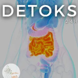 Grafika przedstawia schemat ludzkiego ciała z wyraźnie zaznaczonym układem pokarmowym w odcieniach pomarańczy, nałożona na przezroczystą sylwetkę kobiety w błękitnych tonacjach. Na ilustracji...