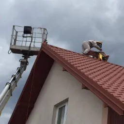 Prace na wysokościach- Szerszenie w kominie