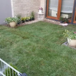 Świeżo założony trawnik w ogrodzie z donicami kwiat&oacute;w przy ścianach budynku i metalowym ogrodzeniem w rogu kadru.