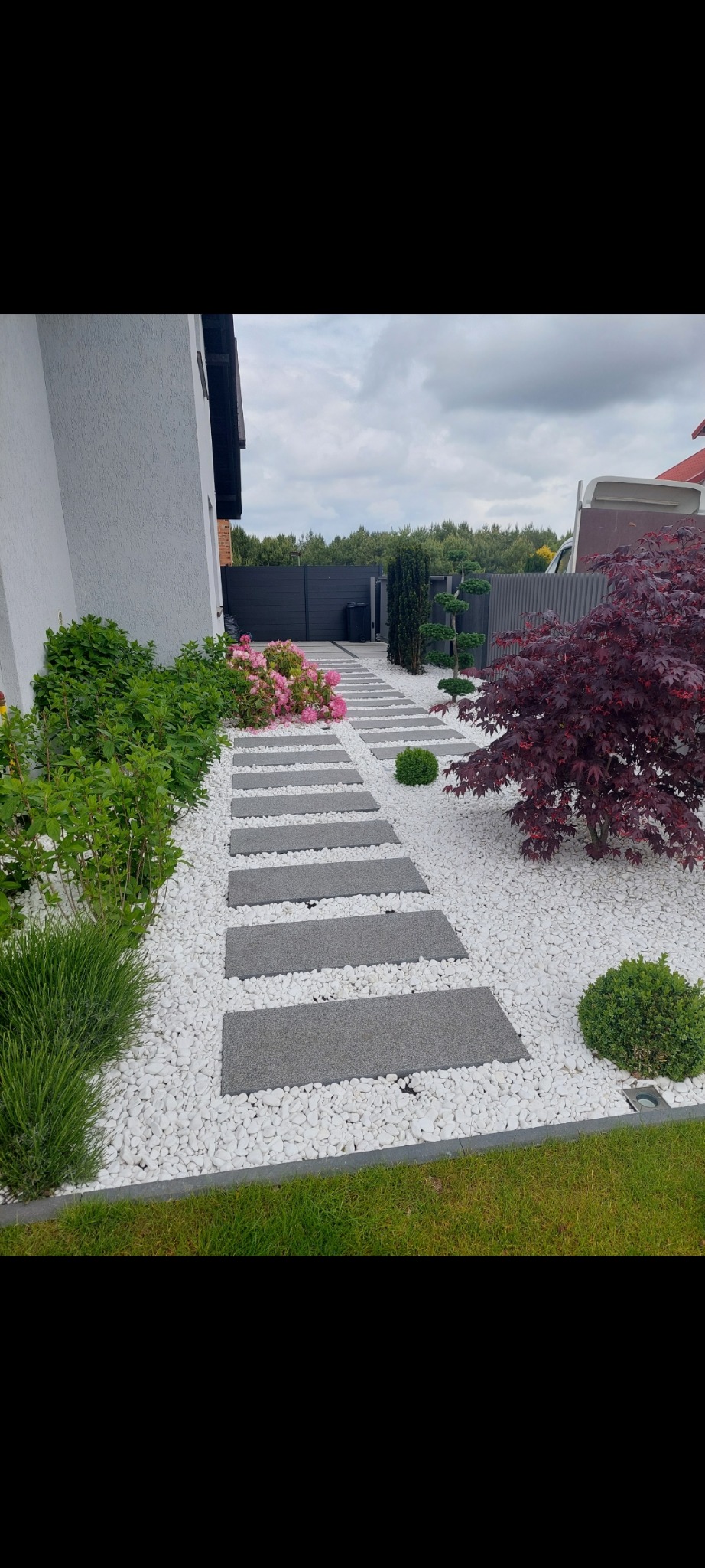 Nowoczesny ogród z ścieżką z szarych płyt, białymi kamieniami, ozdobnymi krzewami i drzewami, oraz ciemnym ogrodzeniem w tle.