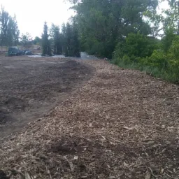 Przygotowanie terenu pod ogród: wyrównana ziemia i wysypane zrębki drzewne, widoczne drzewa w tle.