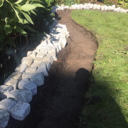 Ogrodowe Kurtyzany - Krawężnik z jasnoszarych kamieni oddziela ścieżkę z ciemnej ziemi od trawnika w ogrodzie.