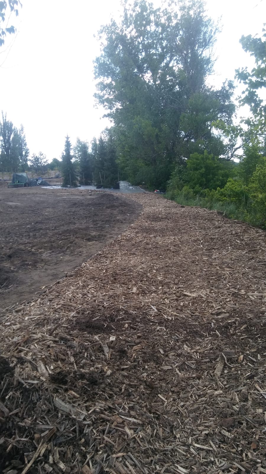 Przygotowanie terenu pod ogród: wyrównana ziemia i wysypane zrębki drzewne, widoczne drzewa w tle.