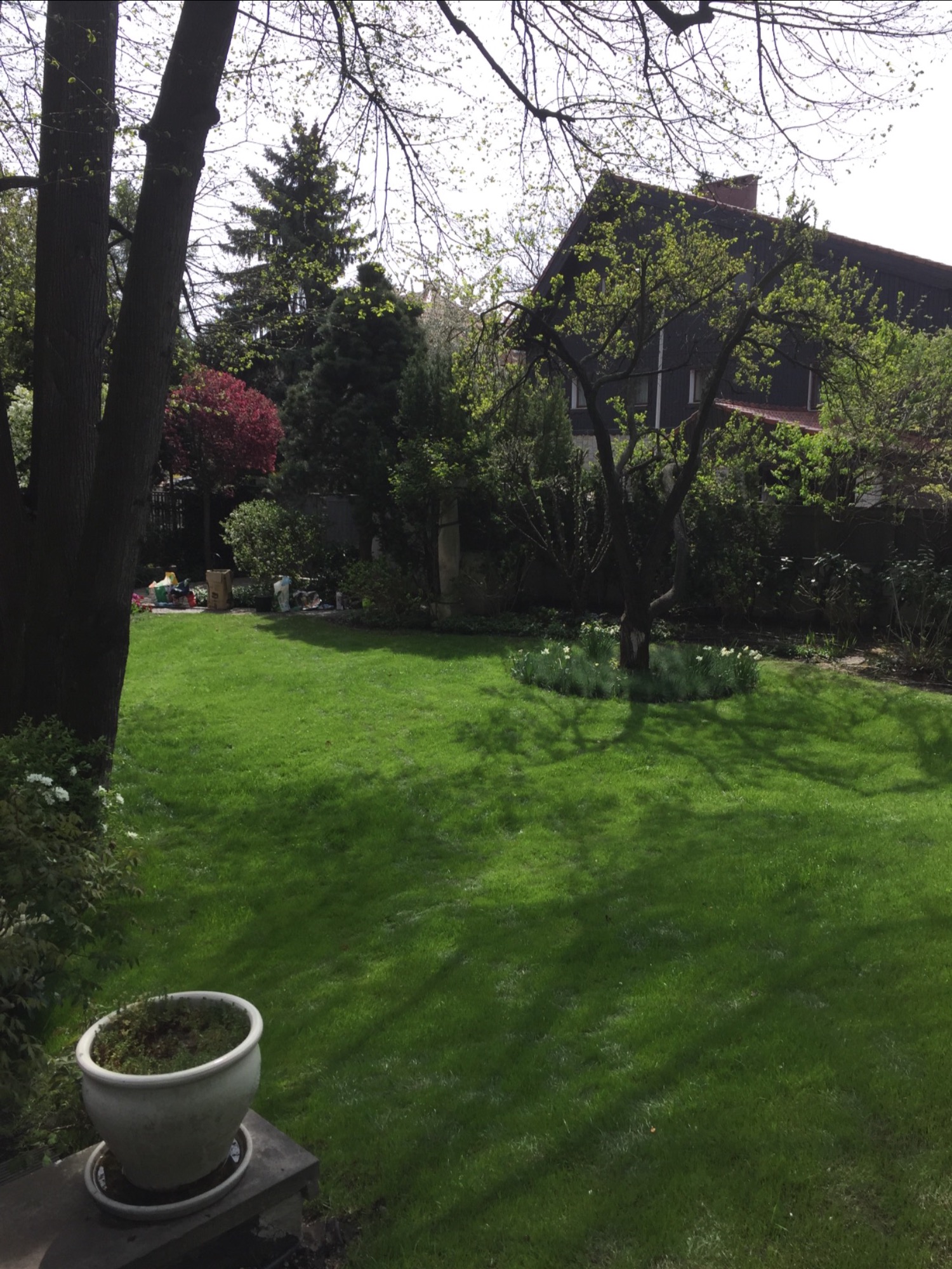 Rozległy trawnik z drzewami, krzewami i kwiatami, otoczony domem w tle, z donicą na pierwszym planie.