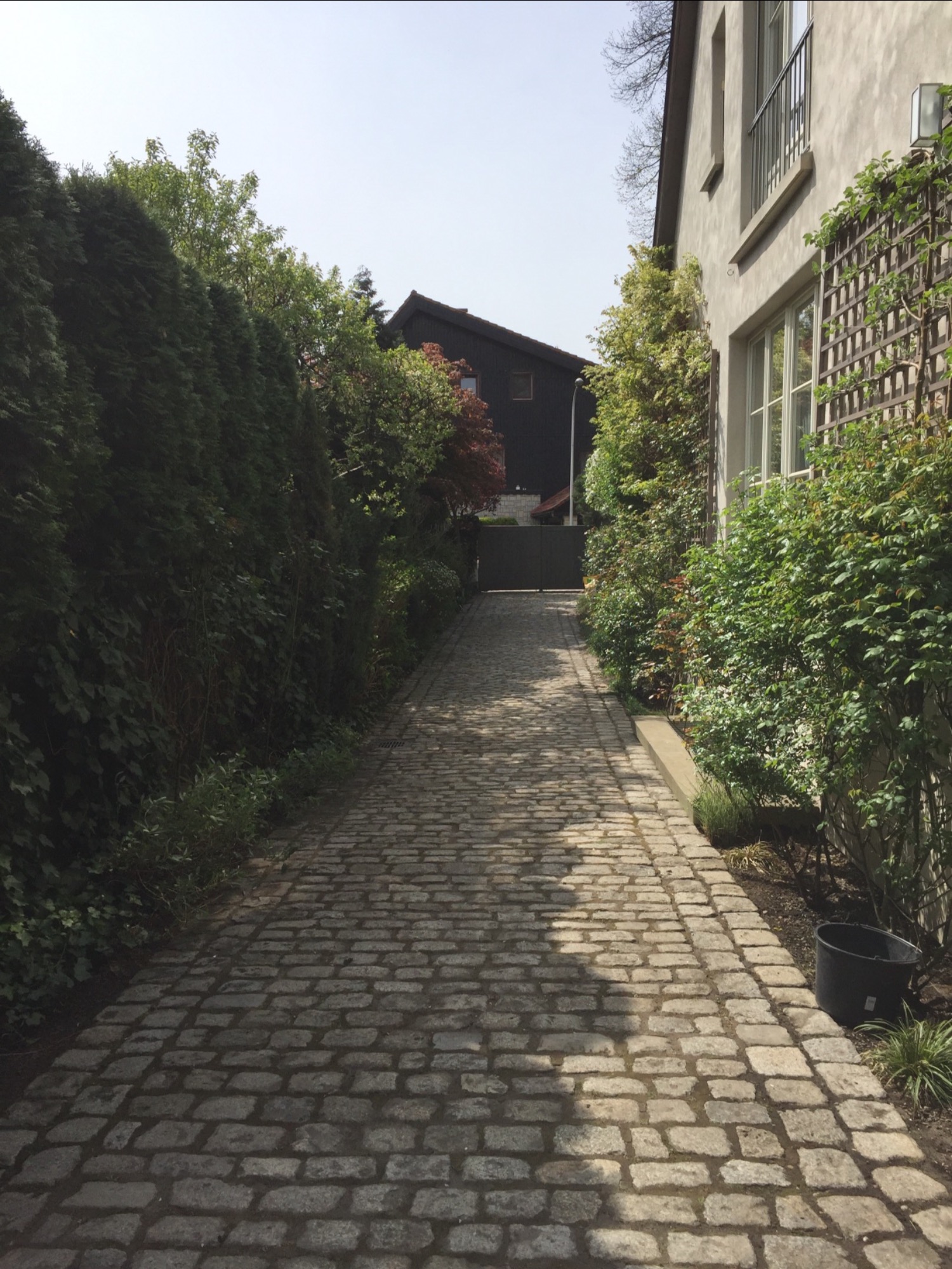 Brukowana ścieżka prowadzi przez zadbany ogród w kierunku ciemnego domu z bramą, z wysokimi żywopłotami po lewej i roślinnością pnącą się po ścianie budynku po prawej.