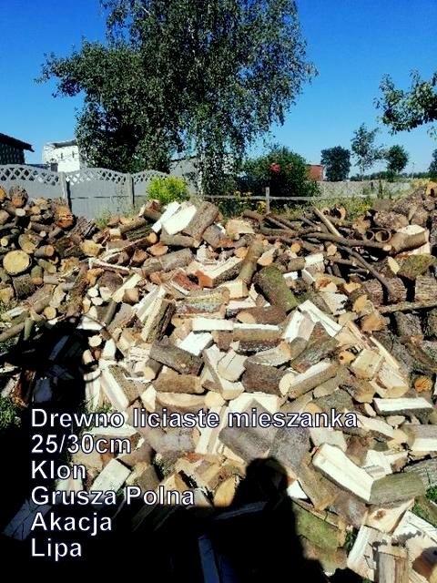 Mieszanka liściasta klon, grusza polna, akacja, lipa