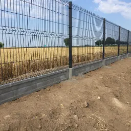 Długie ogrodzenie panelowe z czarnych paneli na betonowej podmurówce, za ogrodzeniem pole zboża i drzewa, widoczne niebo z chmurami.